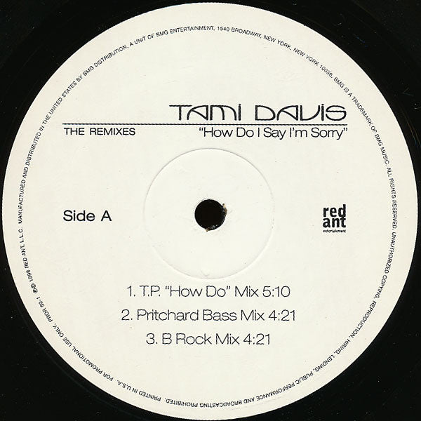 How Do I Say I'm Sorry (The Remixes)